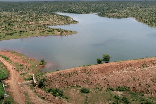 Screen shot of a johad in Maharajpur, Rajasthan from The Flow Partnership’s “Water for All” video [YouTube, 04:44 min]