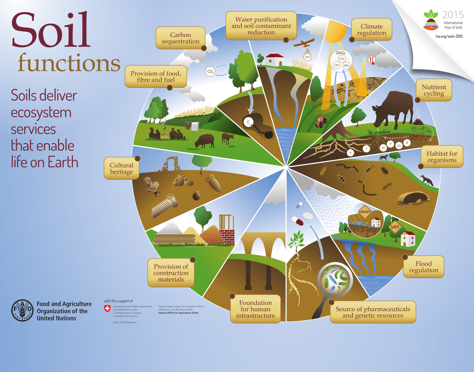 Soil Microbiomes Rising