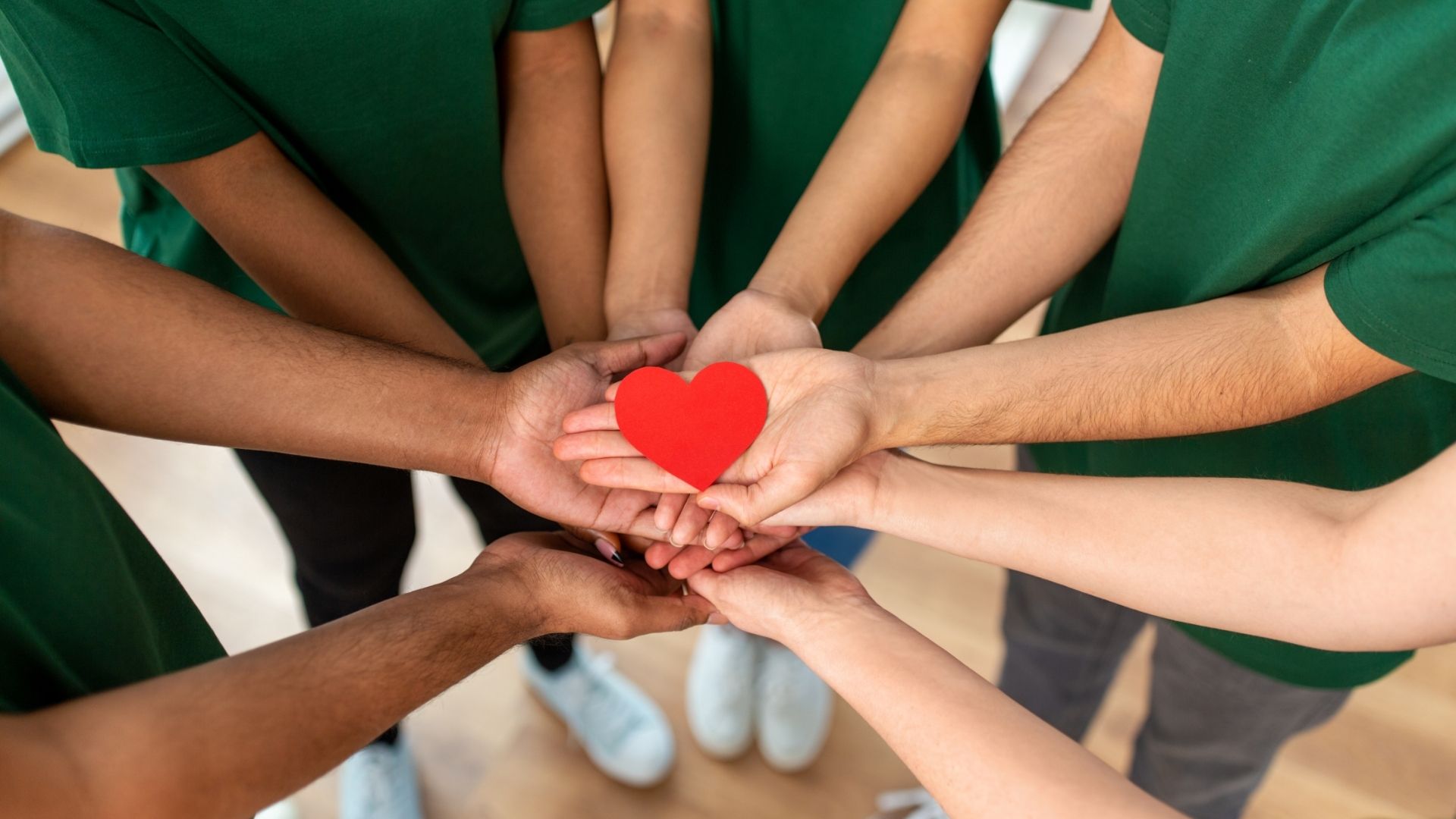 Soil Food Web Foundation Launches as Nonprofit to Carry Forward Dr. Elaine Ingham’s Legacy